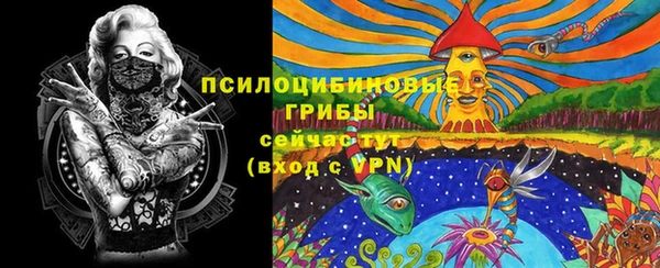 герыч Абаза