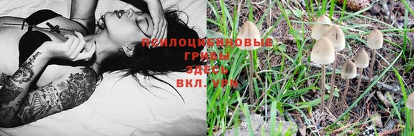 герыч Абаза